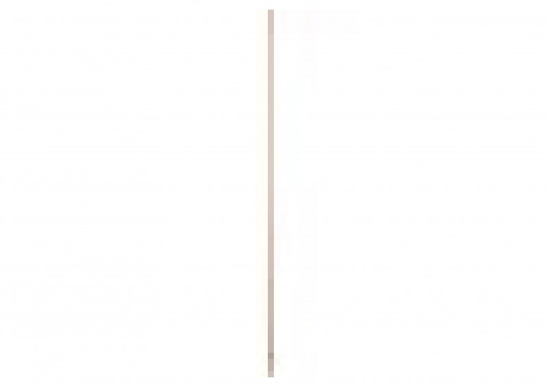 Черенок для метлы несортированный 25х1250мм