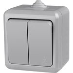 Выключатель 2кл ОП 10А 250В IP54 серый Dita TOKOV ELECTRIC